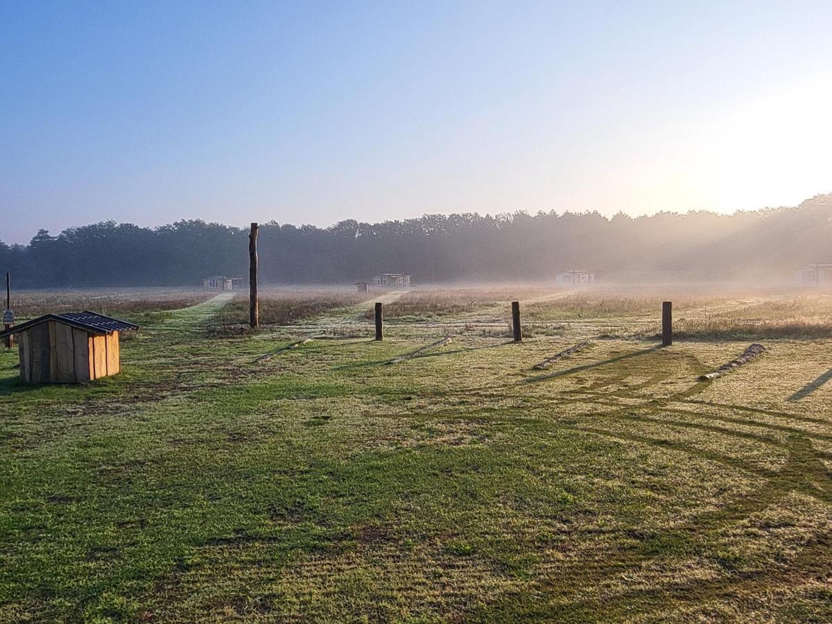 Hoeve Twente - De Buizerd Villa Heythuysen Kültér fotó