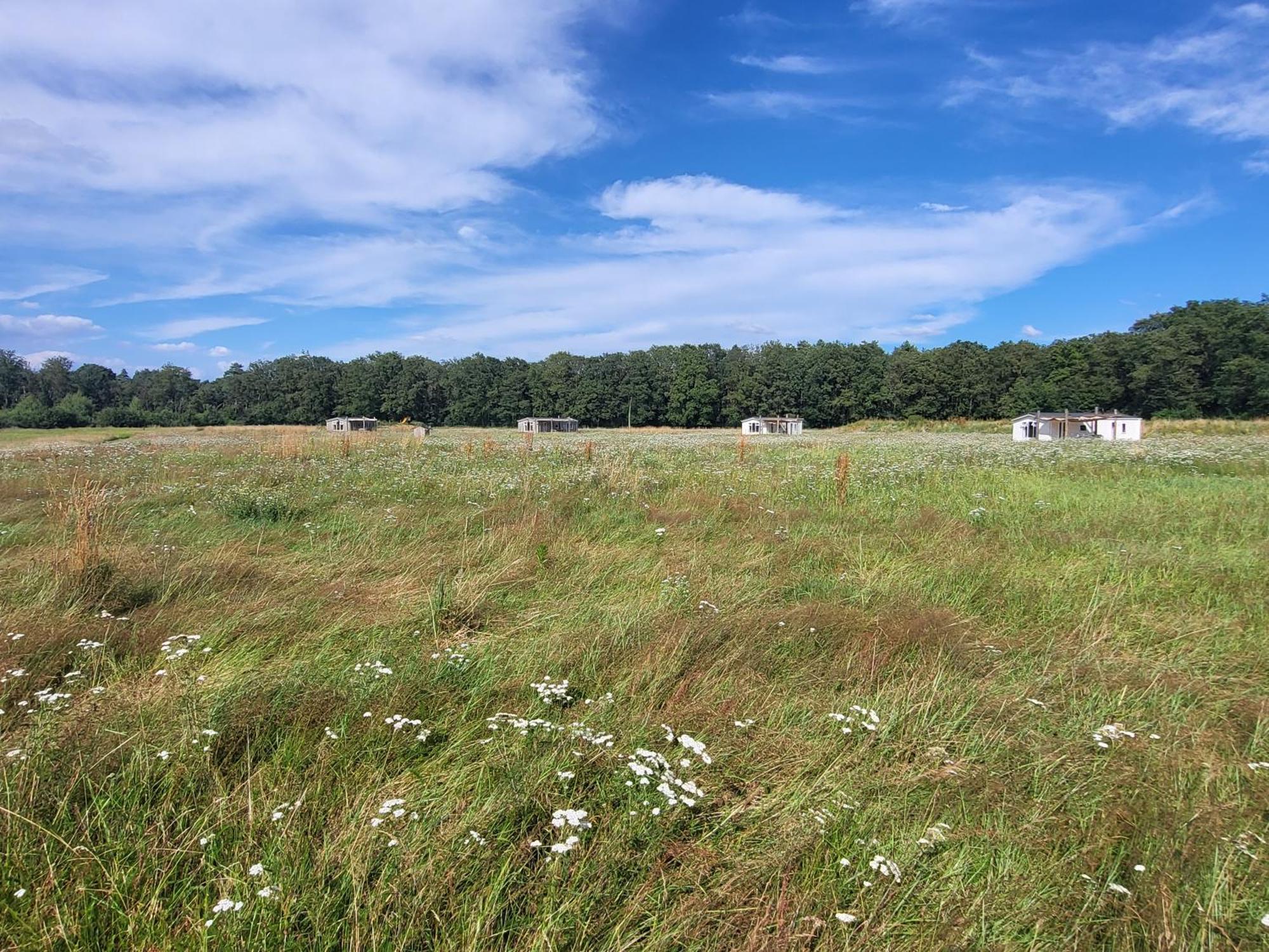 Hoeve Twente - De Buizerd Villa Heythuysen Kültér fotó