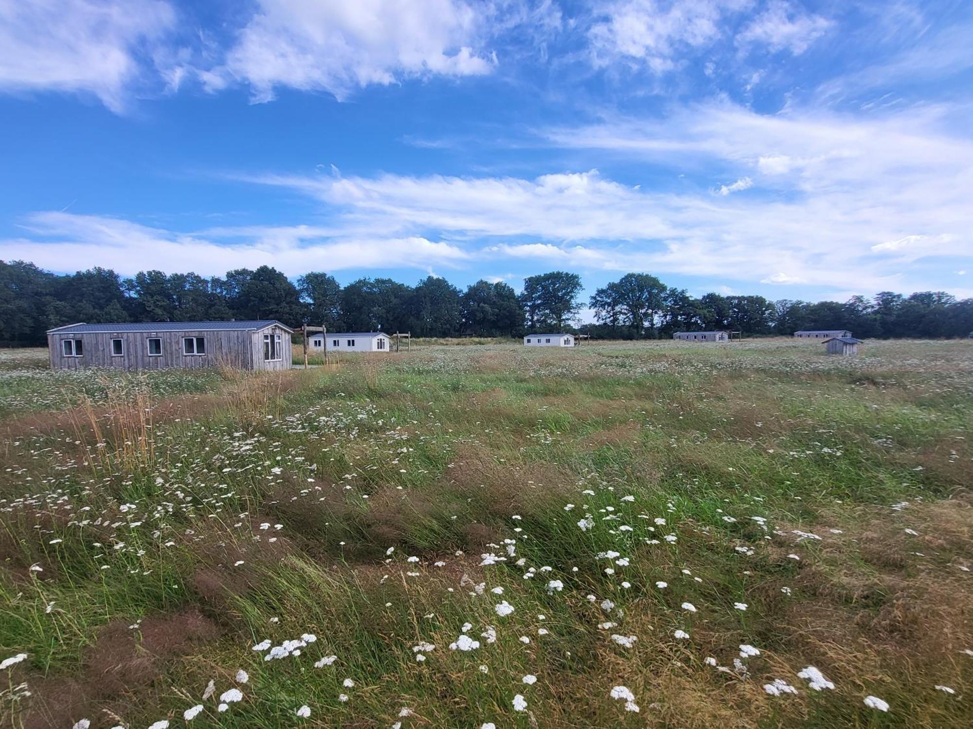 Hoeve Twente - De Buizerd Villa Heythuysen Kültér fotó