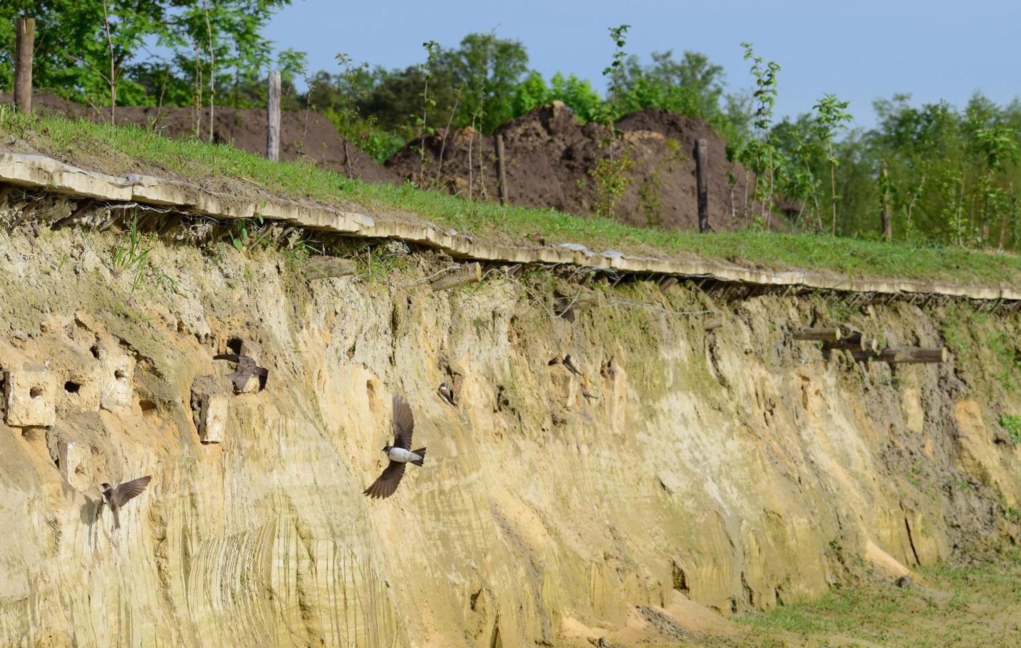 Hoeve Twente - De Buizerd Villa Heythuysen Kültér fotó